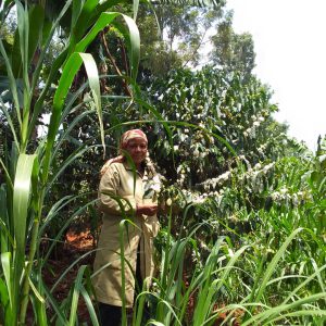 Christine Atieno’s Journey with Mt. Elgon Women Specialty Coffee Cultivating Success through dfcu Bank’s Rising Woman Initiative