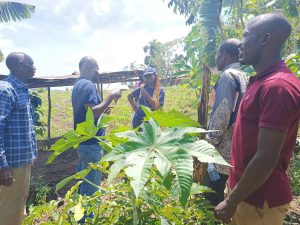Meet Nekesa Mercy, a computer scientist and entrepreneur on a remarkable journey to empowering farmers using Farm Management Software.