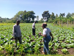 Meet Nekesa Mercy, a computer scientist and entrepreneur on a remarkable journey to empowering farmers using Farm Management Software.